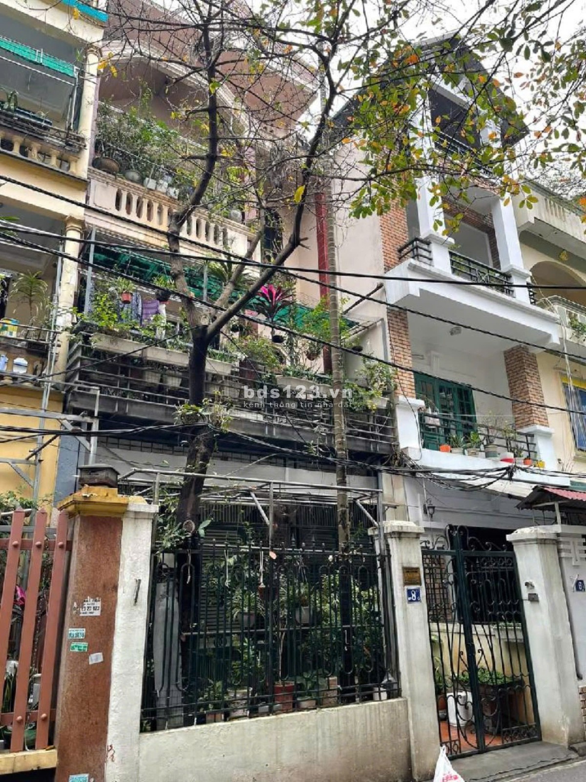 Bán nhà phân lô, đường đẹp tại Đường Trần Quốc Hoàn, Cầu Giấy, Hà Nội diện tích 64m2 giá 20 Tỷ