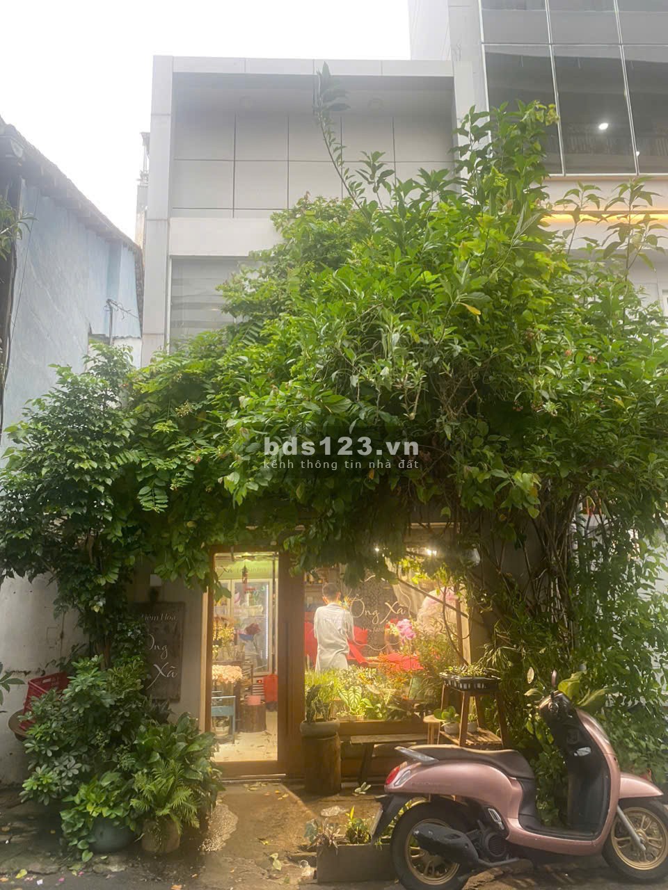 Bán nhà 18m2 tại 115 Đặng Dung - quận 1