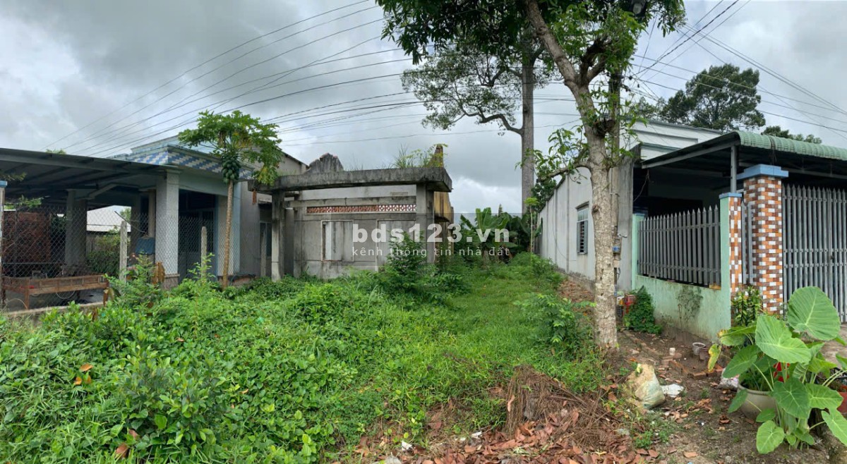 Bán 200m2 đất vườn đường xe hơi Thị Xã Trảng Bàng Tây Ninh
