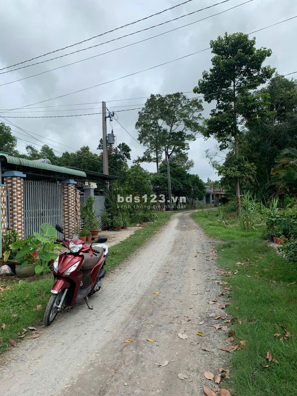 Bán 200m2 đất vườn đường xe hơi Thị Xã Trảng Bàng Tây Ninh