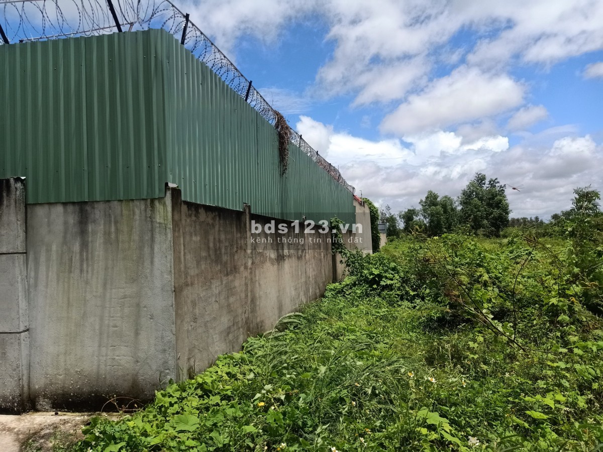 Cho Thuê kho bãi 1400m2 Xuân Thới Thượng, Hóc Môn