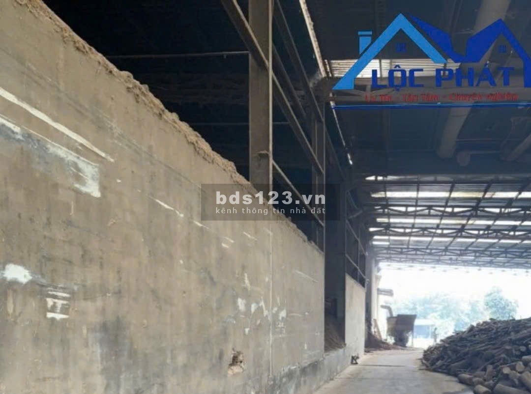 BÁN XƯỞNG tại Dầu Tiếng Bình Dương diện tích 11400m2 có dòng tiền 370 tr/tháng