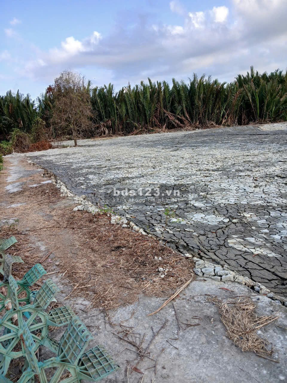 Bán đất lúa 1000m2, thích hợp làm nhà vườn nghỉ dưỡng, giá 780tr