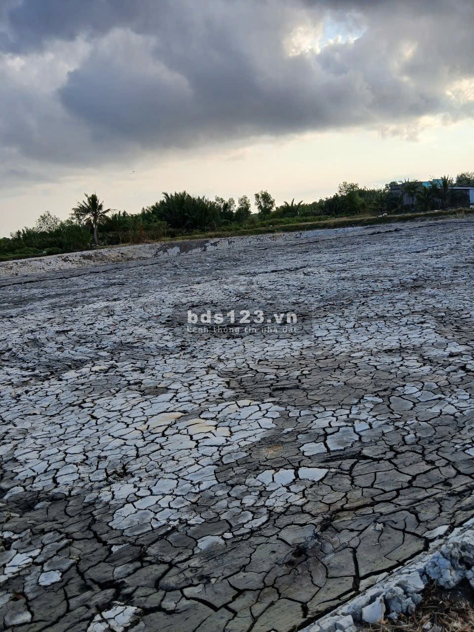 Bán đất lúa 1000m2, thích hợp làm nhà vườn nghỉ dưỡng, giá 780tr