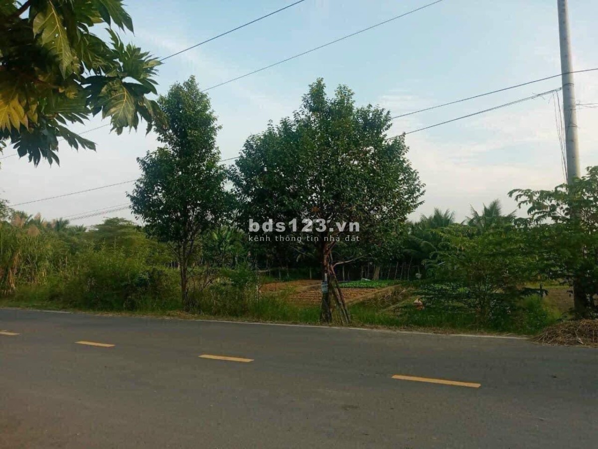 Bán đất 100% thổ cư mặt tiền đường Trương Vĩnh Nguyên, Phú Thứ, Cái Răng, Cần Thơ.