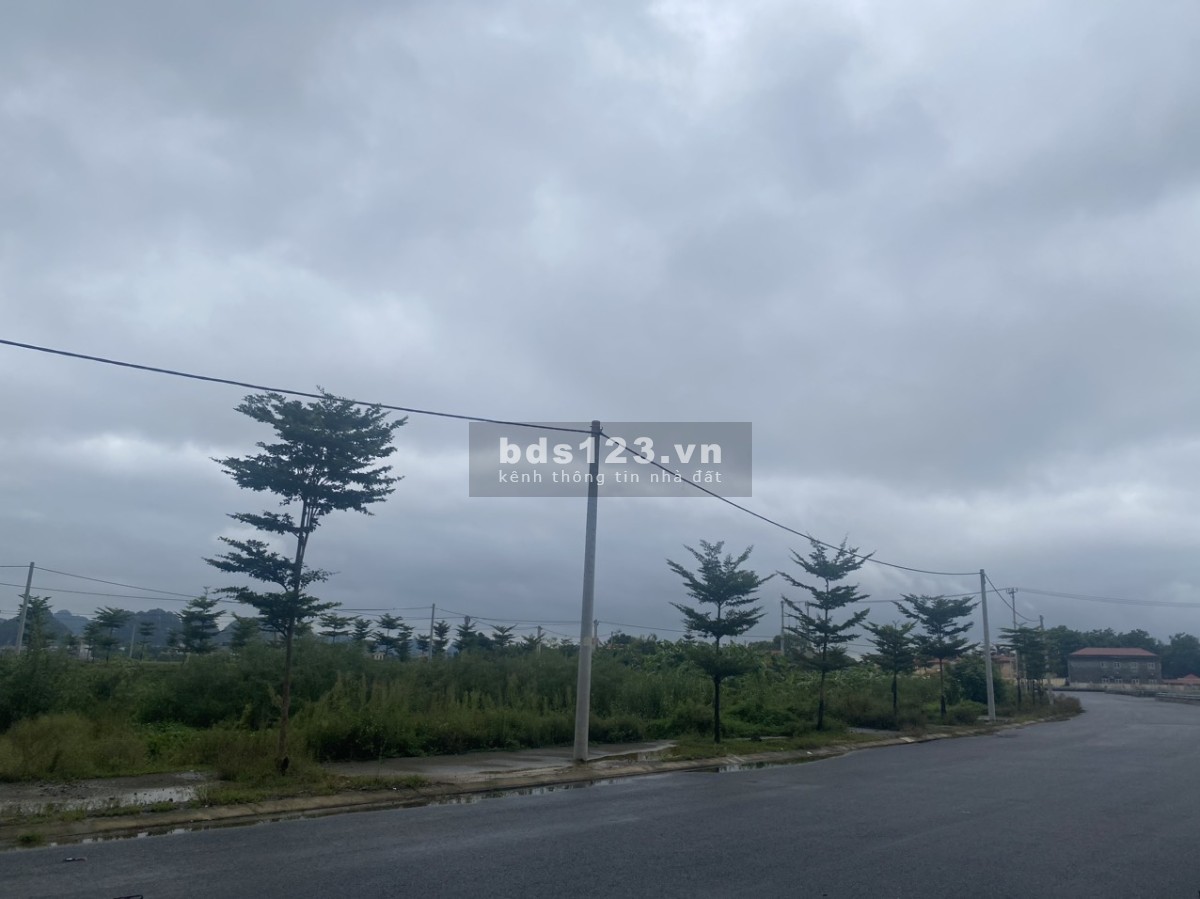 Chính chủ bán Lô Đất Gia Vượng, Gia Viễn, Ninh Bình.