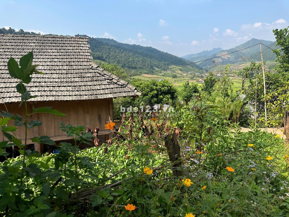 Lô đất Mộc Châu siêu phẩm phù hợp làm Homestay, coffee check in, nghỉ dưỡng