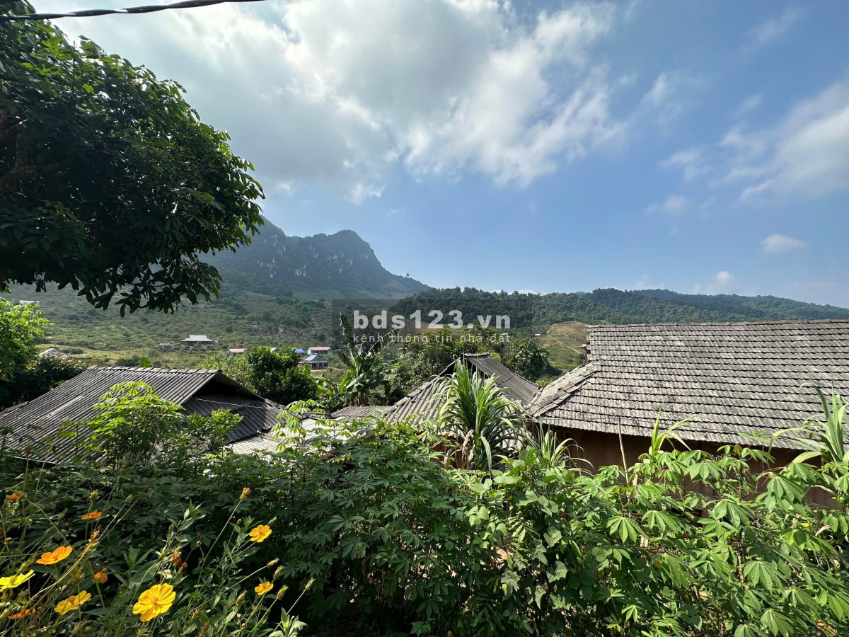 Lô đất Mộc Châu siêu phẩm phù hợp làm Homestay, coffee check in, nghỉ dưỡng