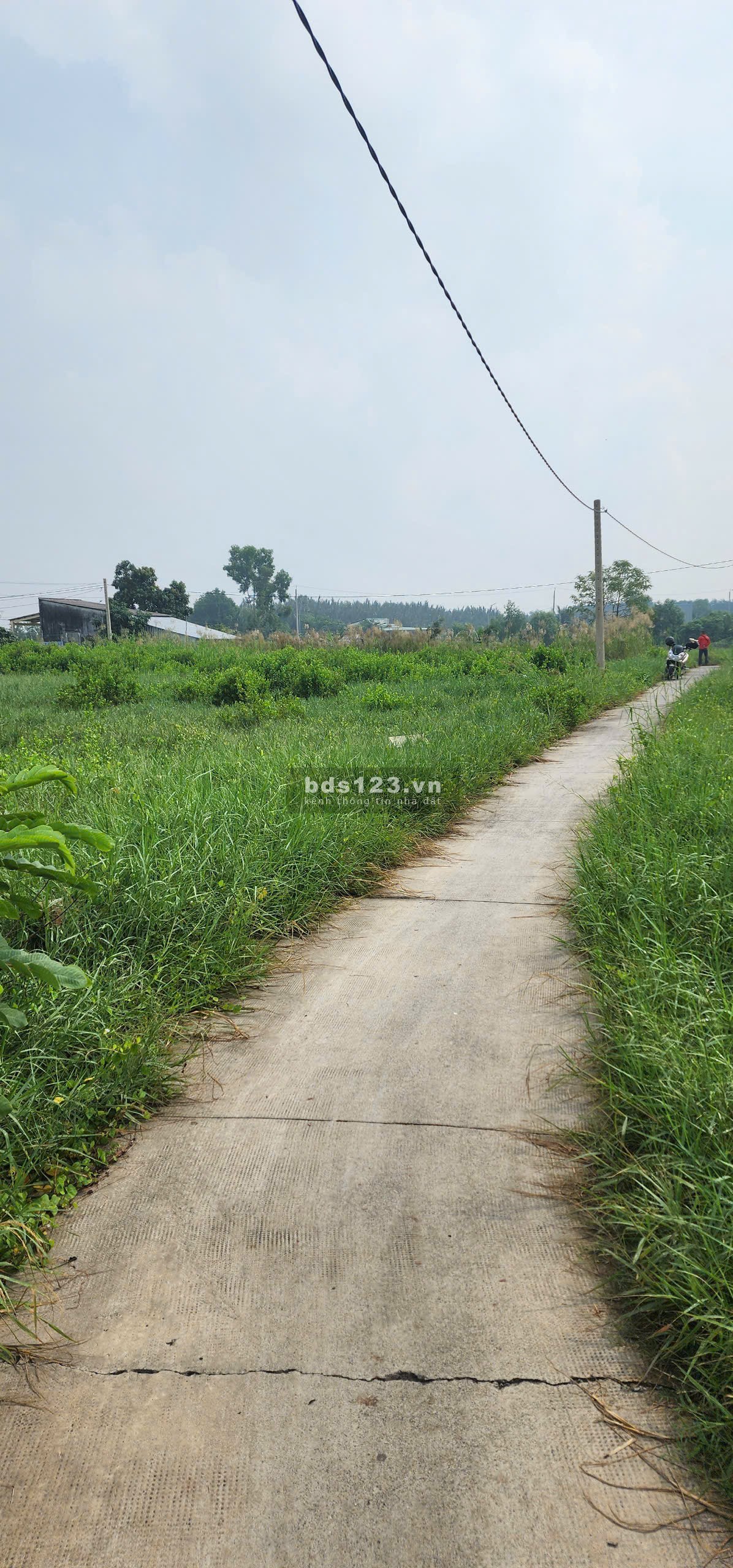 Bán đất 2 mặt tiền gần khu công nghiệp Long Hậu