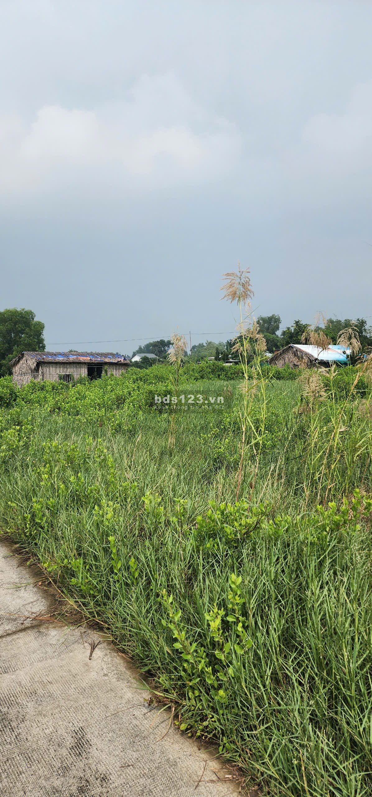 Bán đất 2 mặt tiền gần khu công nghiệp Long Hậu