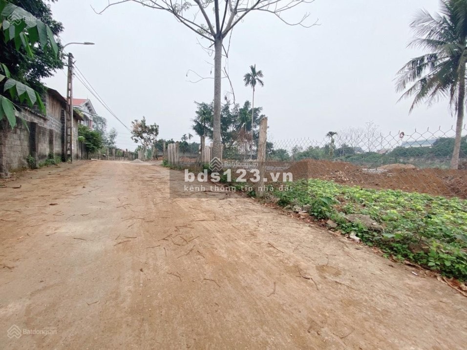 Chính chủ cần bán gấp lô đất 300m2 khu tái định cư Xuân Sơn, xã Xuân Sơn, thị xã Sơn