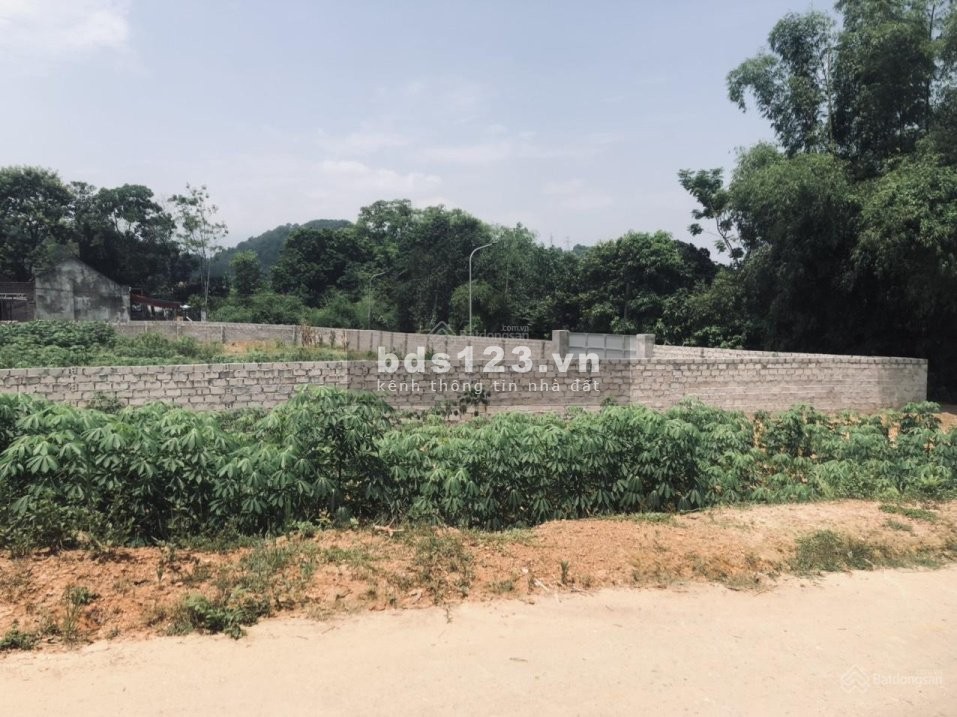 Chính chủ cần bán gấp lô đất 300m2 khu tái định cư Xuân Sơn, xã Xuân Sơn, thị xã Sơn