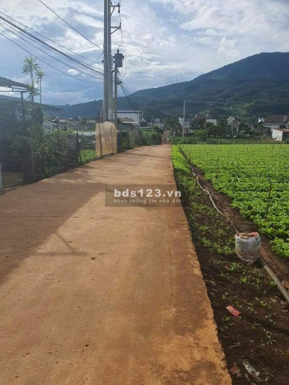  Bán đất nền vùng ven Đà Lạt - Diện Tích 500m² - SHR - Giá Chỉ 790 Triệu 
