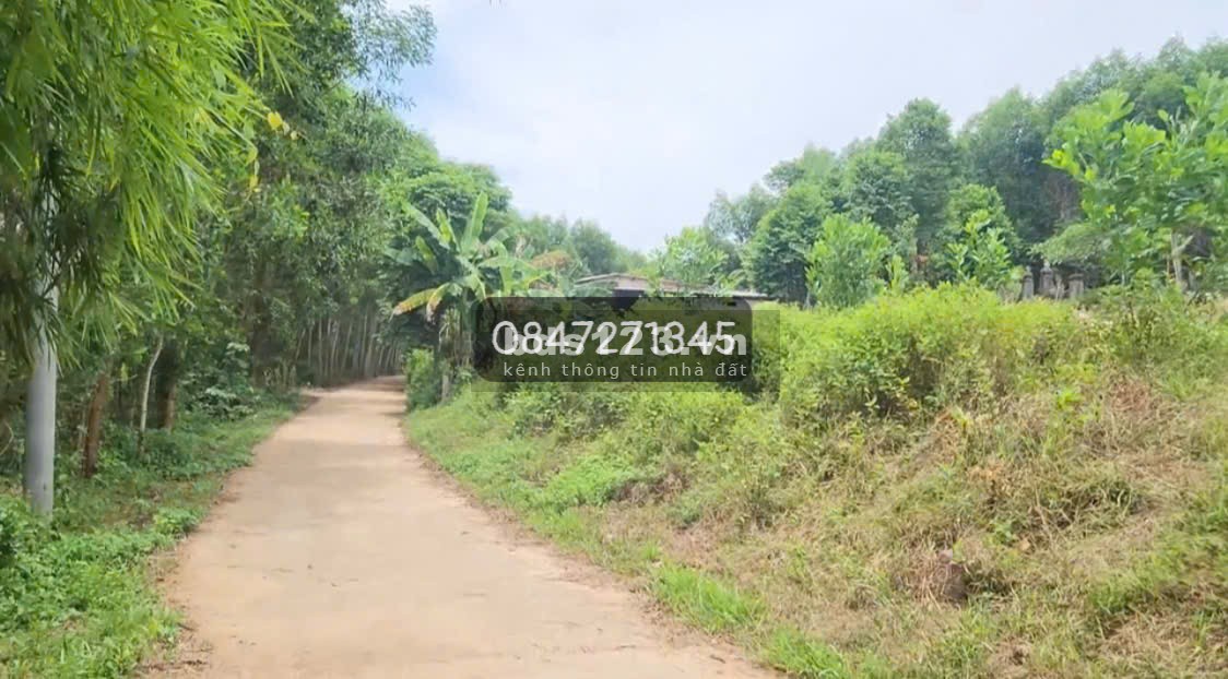 Bán đất giá rẻ tại Thị Xã Quảng Trị,