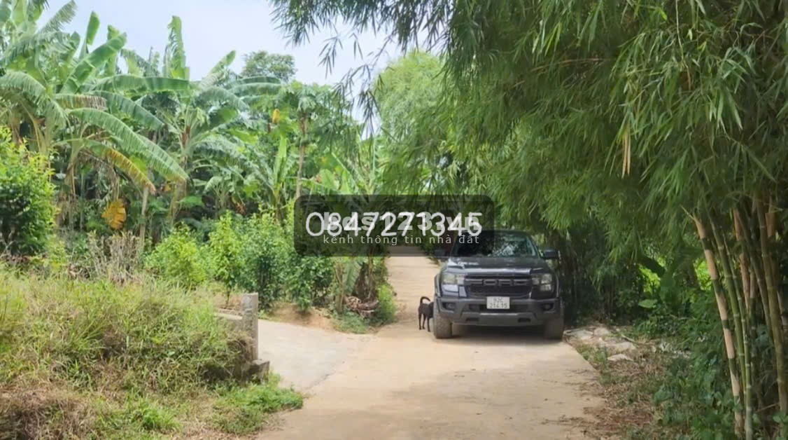 Bán đất giá rẻ tại Thị Xã Quảng Trị,