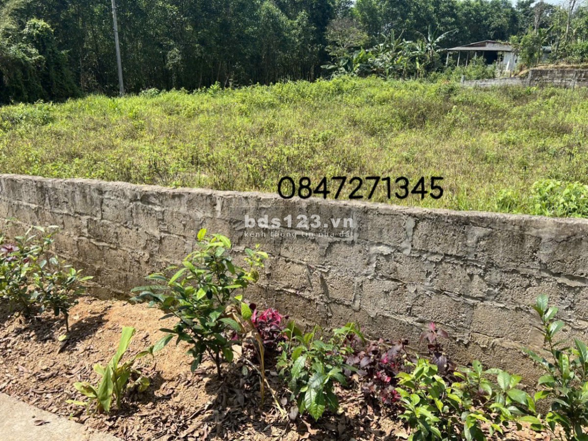 Bán đất giá rẻ tại Thị Xã Quảng Trị,