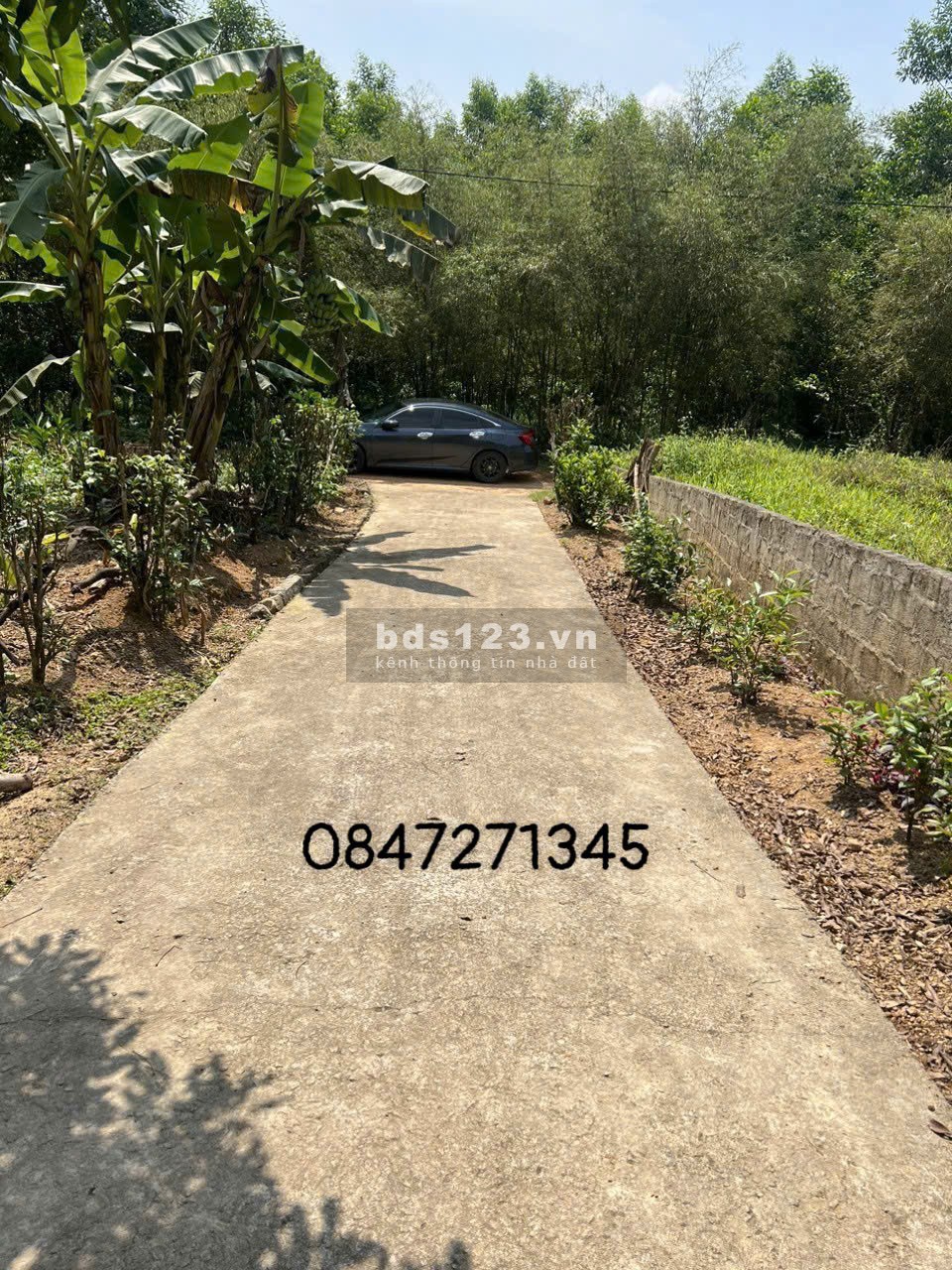 Bán đất giá rẻ tại Thị Xã Quảng Trị,