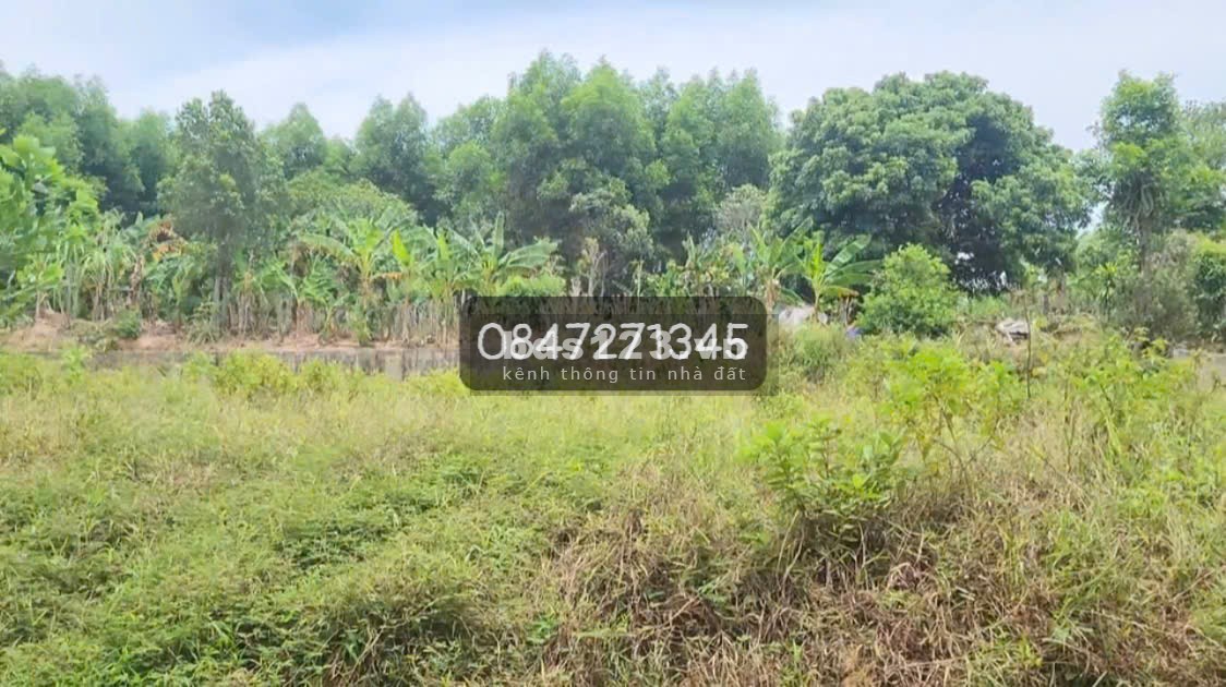 Bán đất giá rẻ tại Thị Xã Quảng Trị,