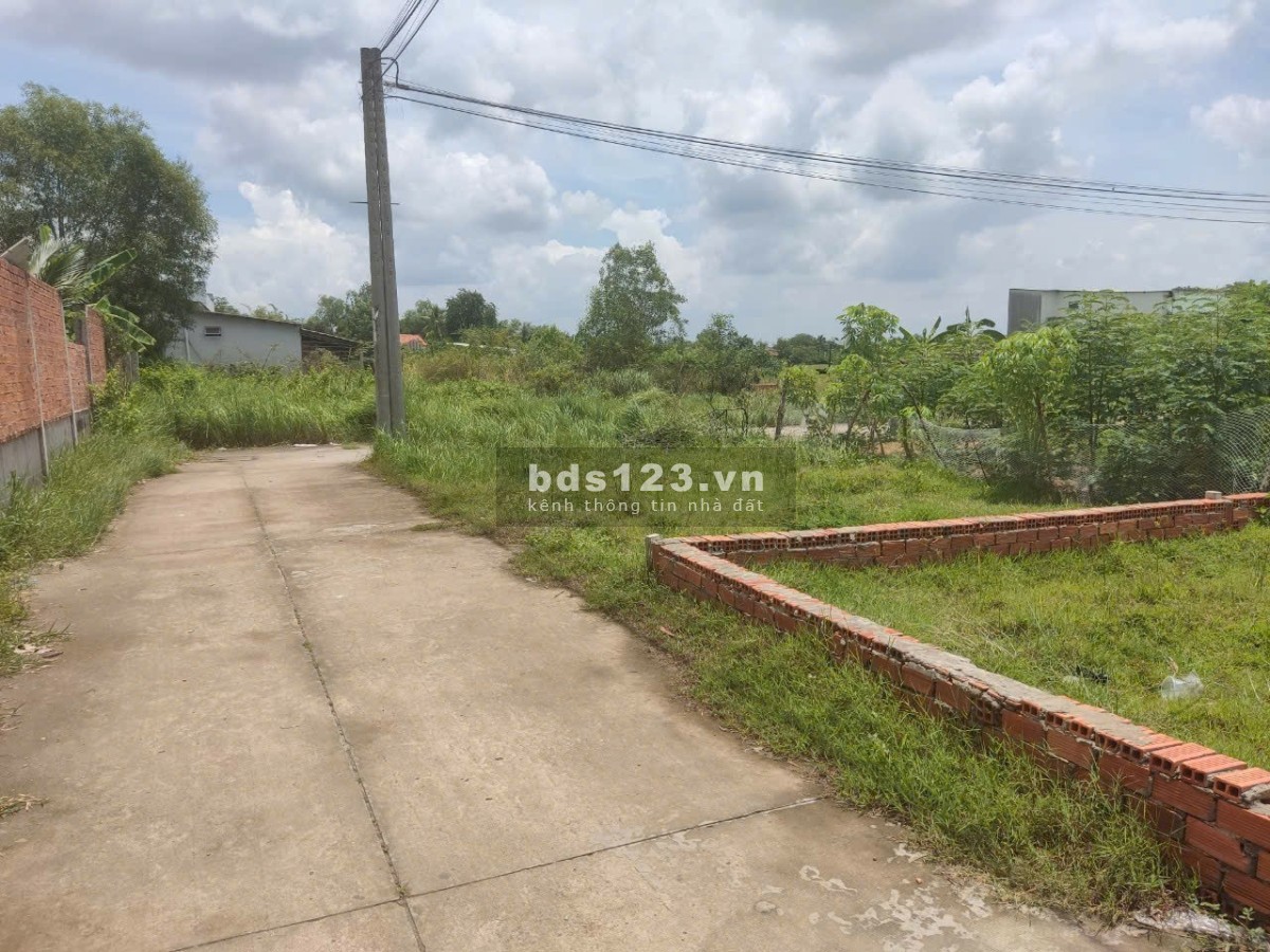 Cần Bán Đất Thổ Cư 211m² Tại Ấp Xoài Đôi, Long Trạch, Cần Đước, Long An