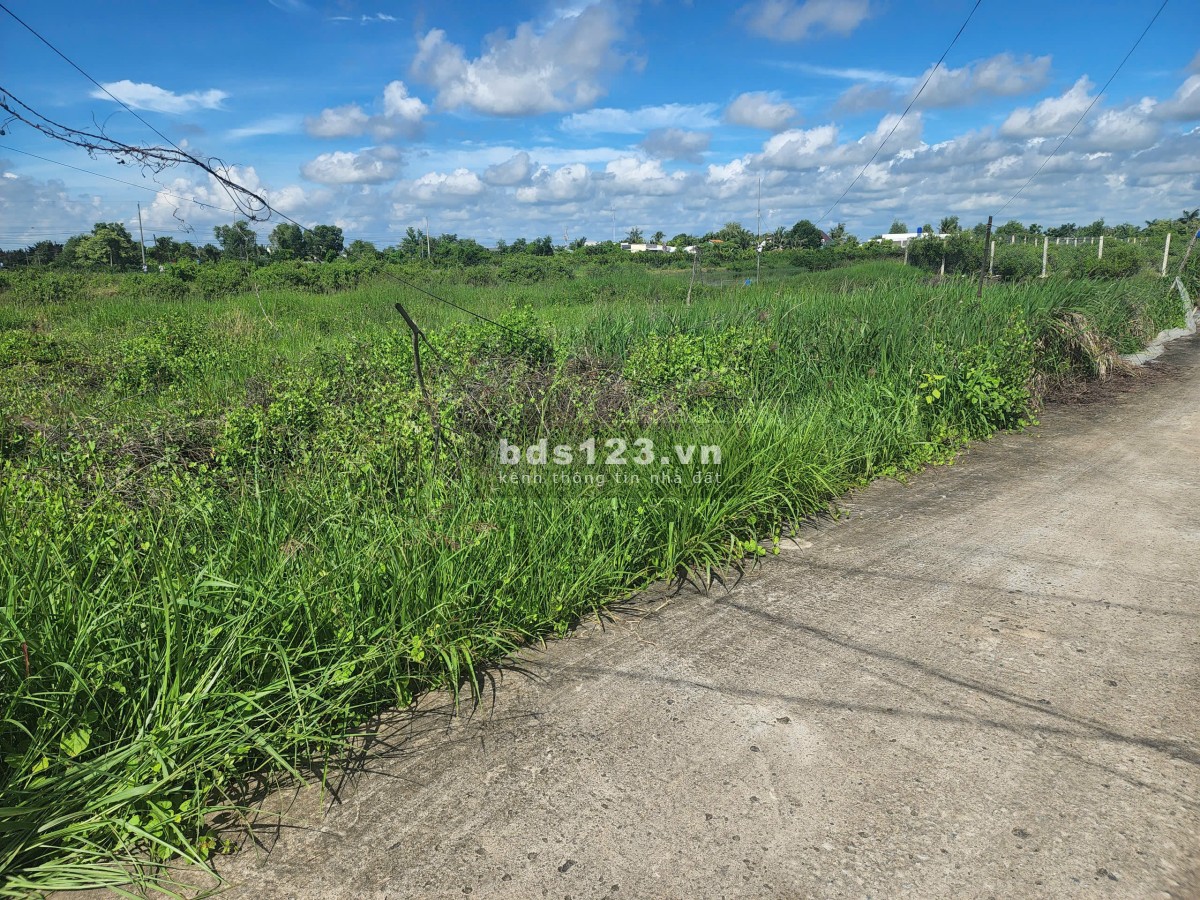 Bán đất cây lâu năm, ngay khu dân cư, điện nước đầy đủ