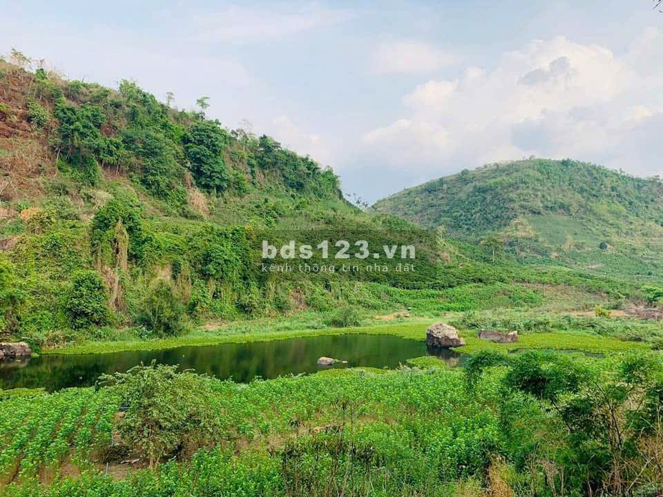 ĐẤT NỀN ĐÀ LẠT 11.887,6 m2 đã CÓ SỔ + TẶNG kèm 6000m2 ven suối