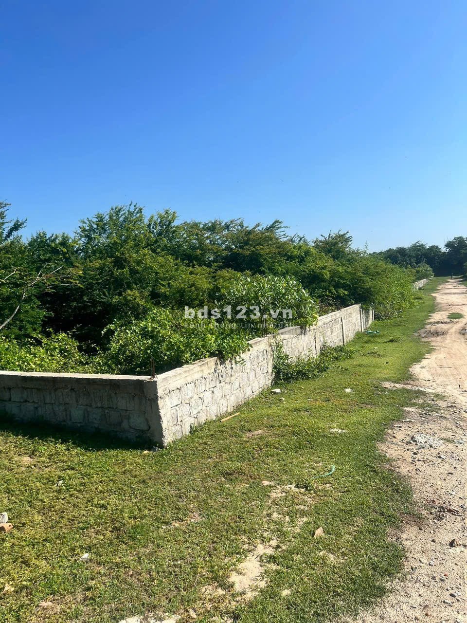 Đất mặt tiền biển đồi dương 4888m2- Bình Thạnh - Tuy Phong - Bình Thuận