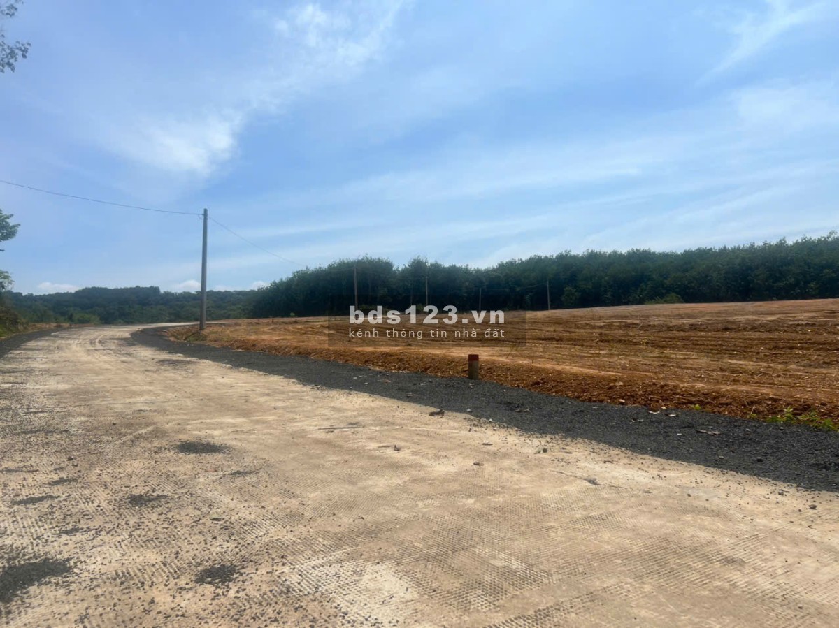 Chính chủ cần bán lô đát 1000m cách đường dt753 100m