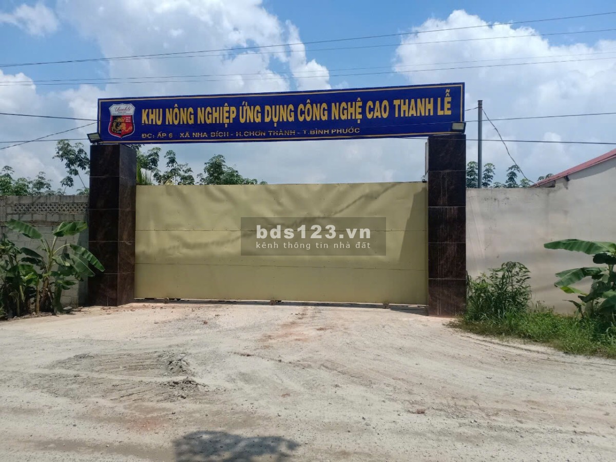CẦN TIỀN NÊN BÁN GẤP 1000M2 GIÁ 140 TRIỆU, NGAY CHỢ, TRƯỜNG HỌC MẶT TIỀN ĐƯỜNG 24M