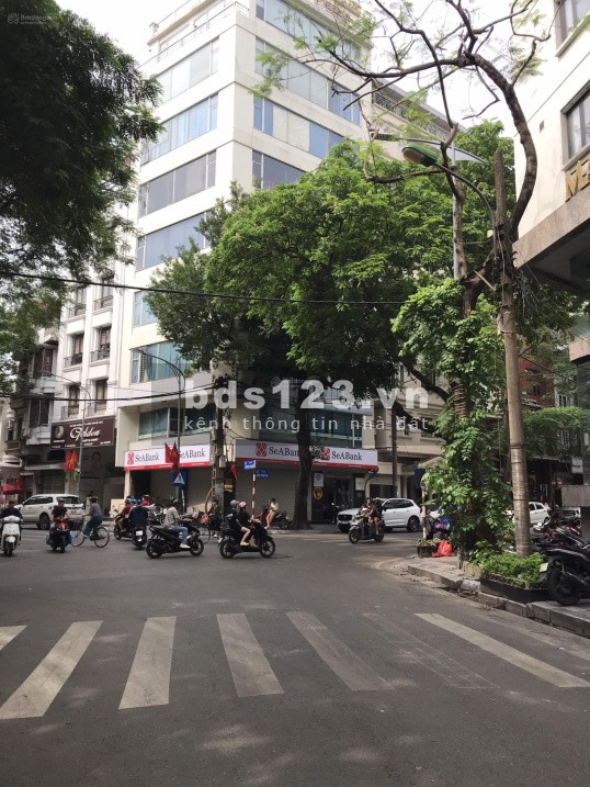 Bán nhà mặt phố tại phường Phan Chu Trinh, Hoàn Kiếm, Hà Nội diện tích 800m2 MT quá lớn 0793059989