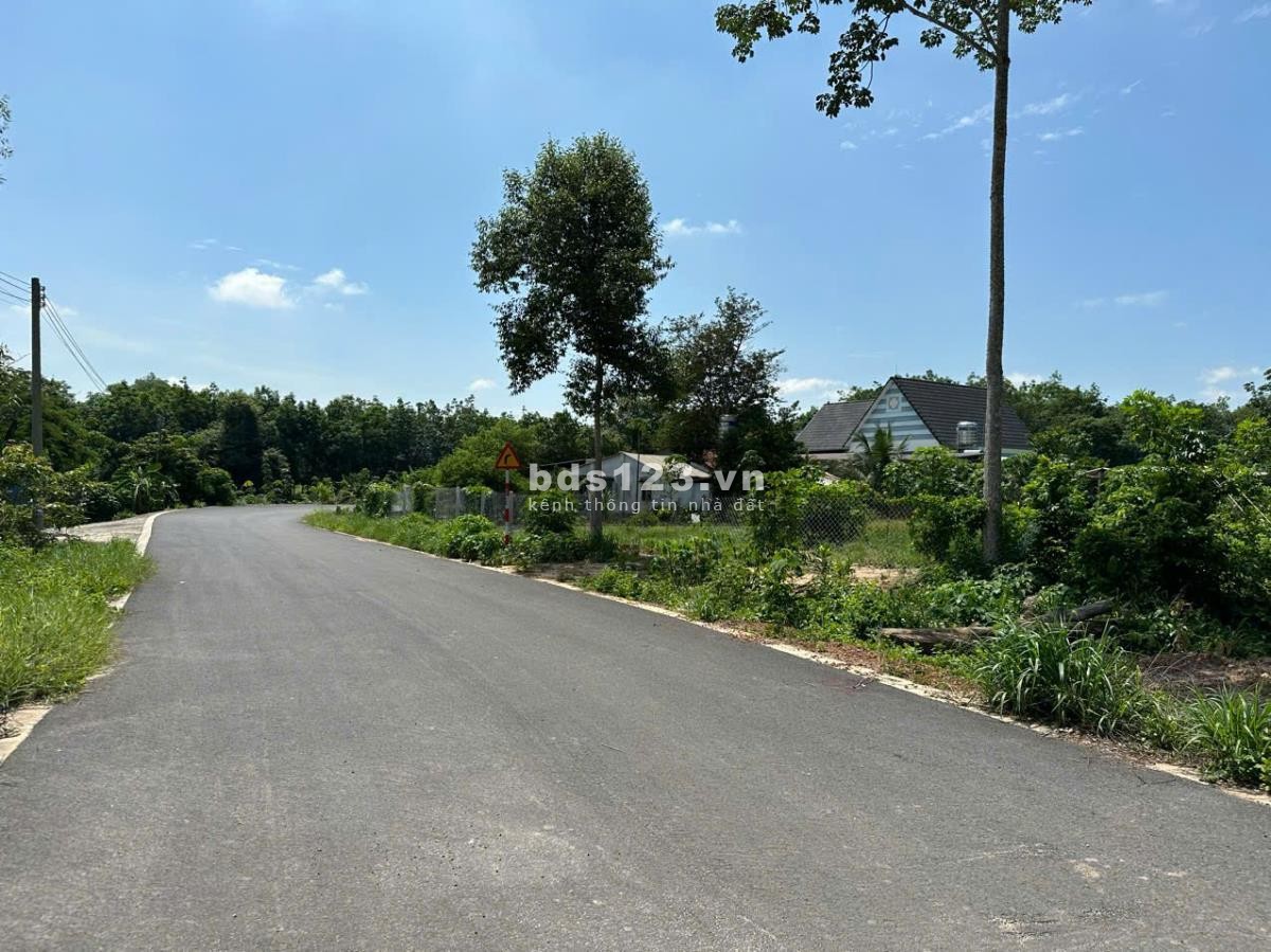 Cần bán 600m2 có thổ cư đã tách 2 sổ phù hợp để giành cho con cháu
