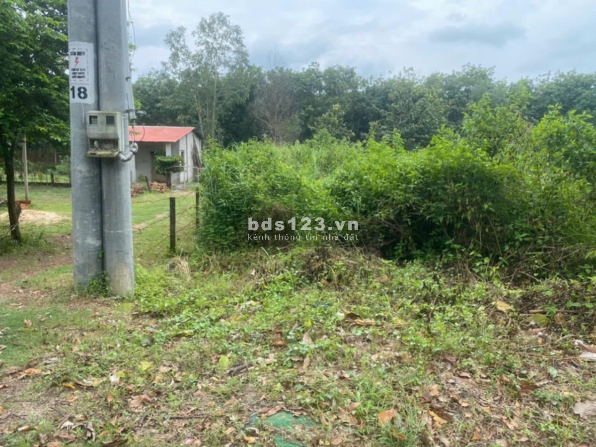 Đất chính chủ Full thổ, có sổ hồng riêng ở Phú Hòa Đông - Củ Chi.Diện tích: 6*20. Giá 700tr