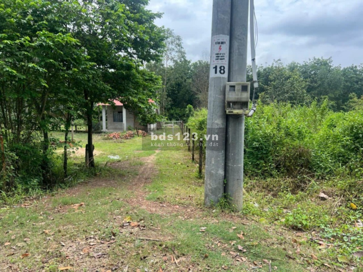 Đất chính chủ Full thổ, có sổ hồng riêng ở Phú Hòa Đông - Củ Chi.Diện tích: 6*20. Giá 700tr