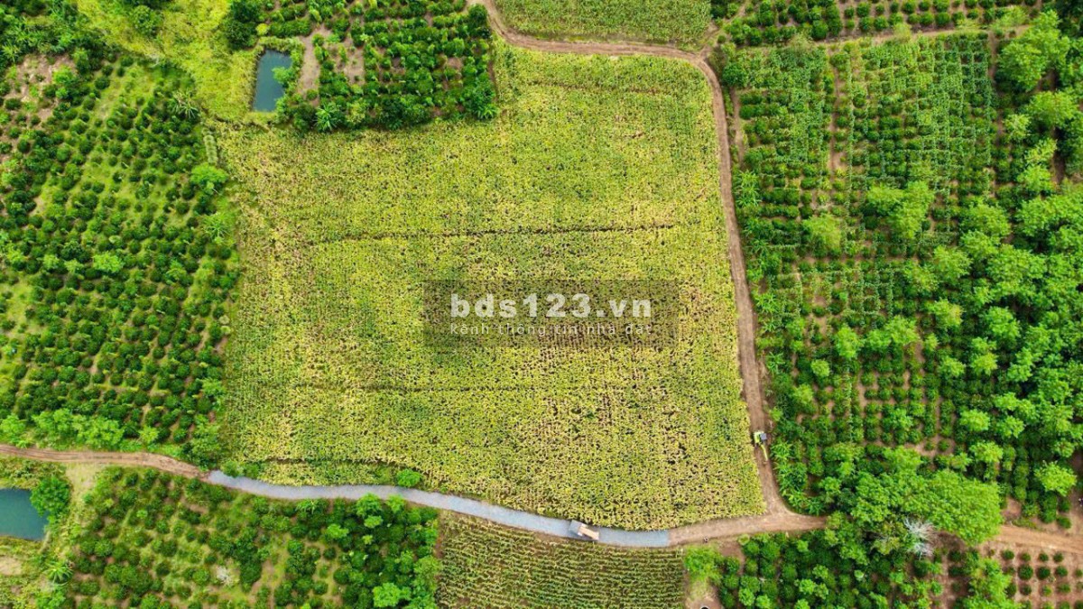 Bán Đất Xã Ea Drong thị Xã Buôn Hồ, DakLak 567m2