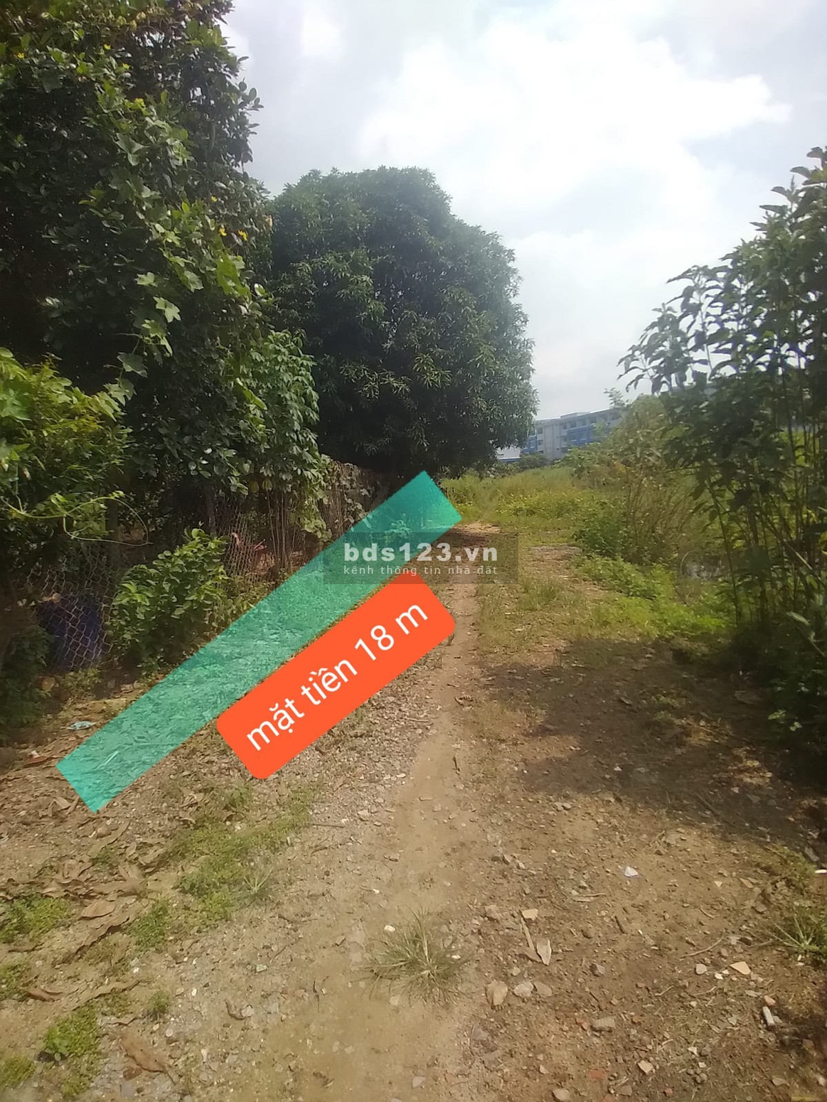 Cho thuê đất giá rẻ, tiện kinh doanh đa nghành, vị trí trung tâm TP Thủ Dầu Một