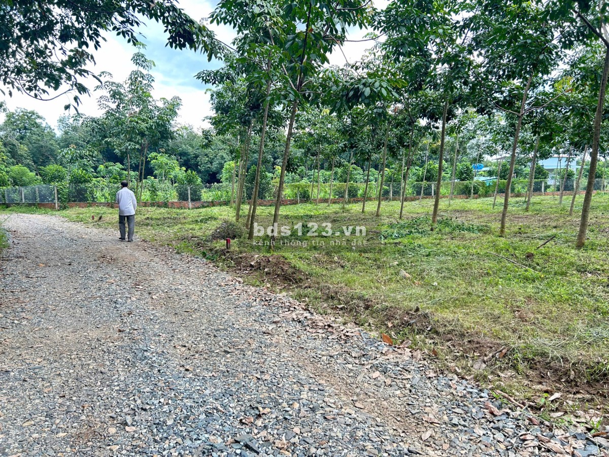Bán 1.480M2 Đất Sào Có Thổ Cư Sẳn liền kề, Giá 225 Triệu,…