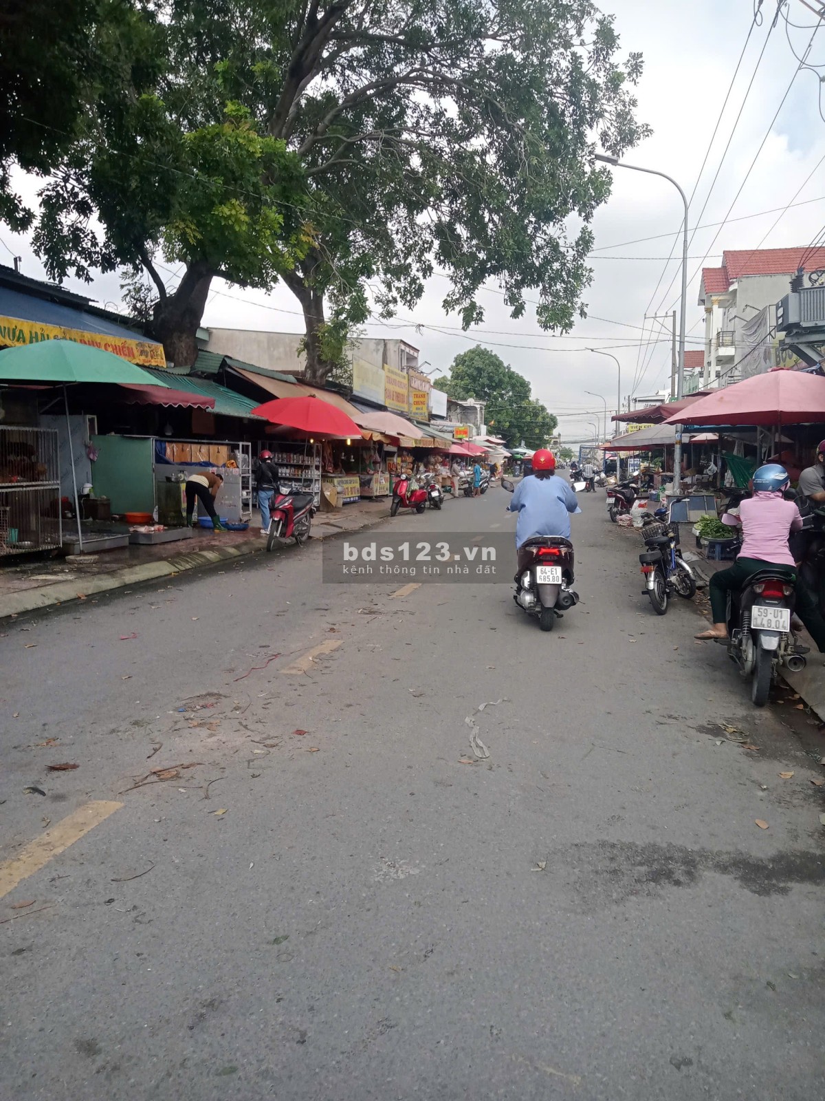 Bán nhà TRỆT LẦU và 16 phòng trọ Thuận Giao Thuận An
