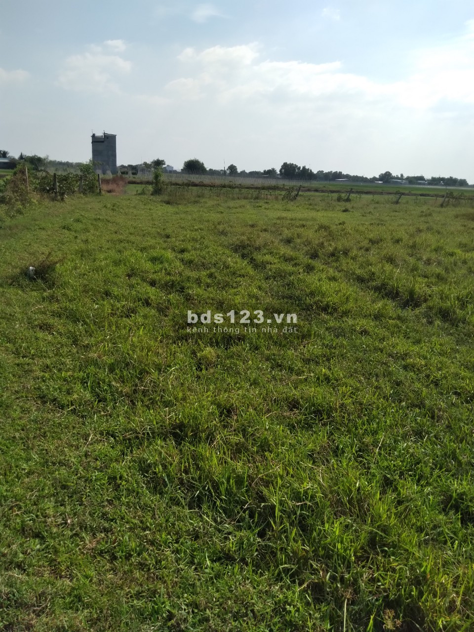 Chính chủ bán 3 lô đất nông nghiệp, diện tích 1.662 m2, đường hiện trạng 6m, giá 700 triệu