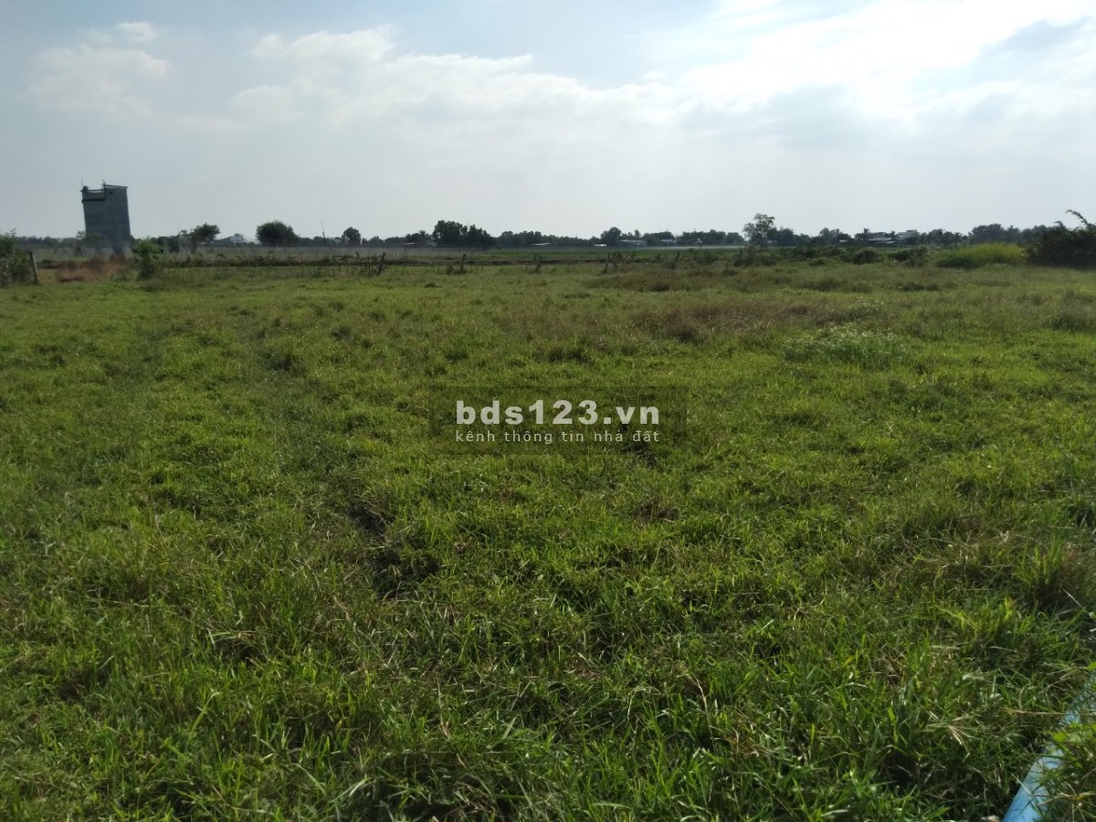 Chính chủ bán 3 lô đất nông nghiệp, diện tích 1.662 m2, đường hiện trạng 6m, giá 700 triệu