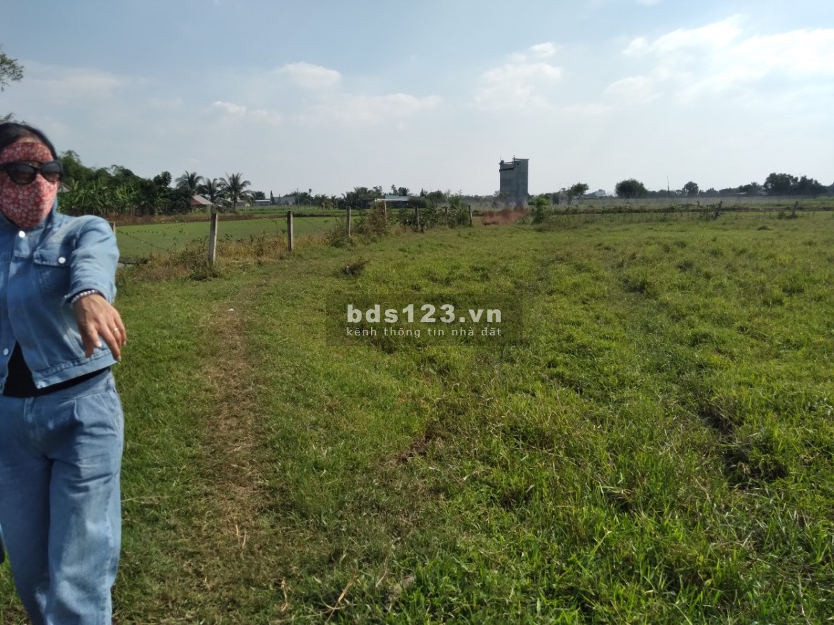 Chính chủ bán 3 lô đất nông nghiệp, diện tích 1.662 m2, đường hiện trạng 6m, giá 700 triệu