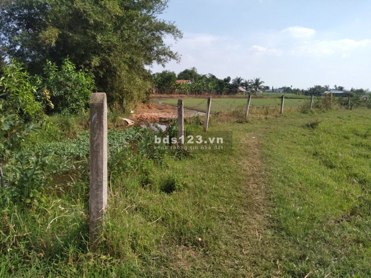 Chính chủ bán 3 lô đất nông nghiệp, diện tích 1.662 m2, đường hiện trạng 6m, giá 700 triệu