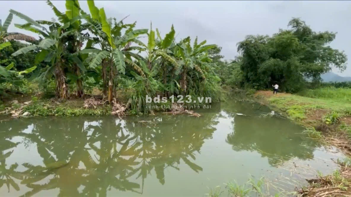 CHÍNH CHỦ CẦN BÁN ĐẤT ĐA PHÚC - YÊN THỦY - HOÀ BÌNH