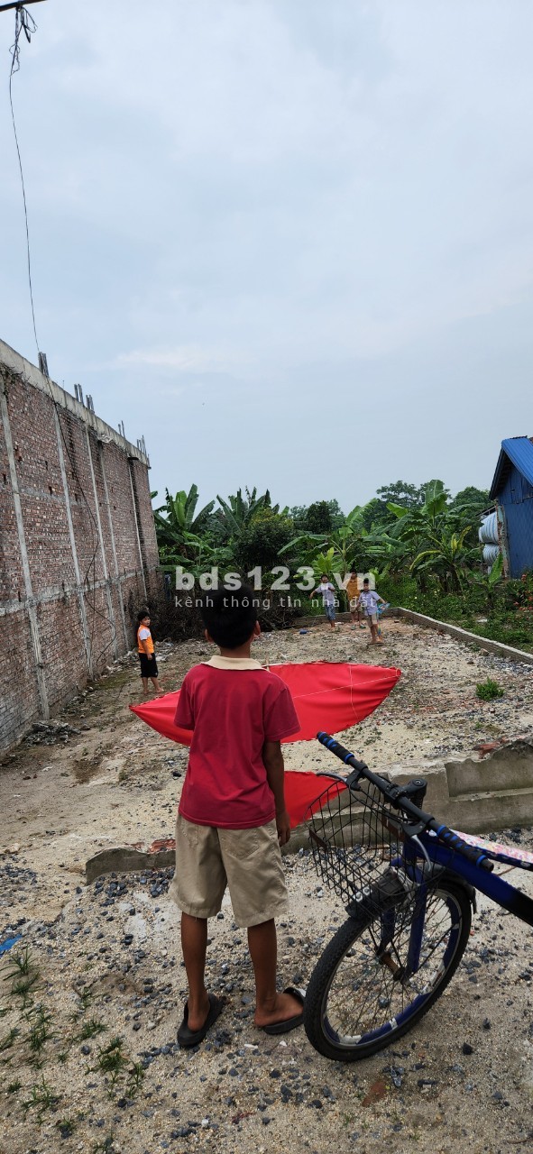 Cần bán gấp đất mặt đường xã Hòa Hậu