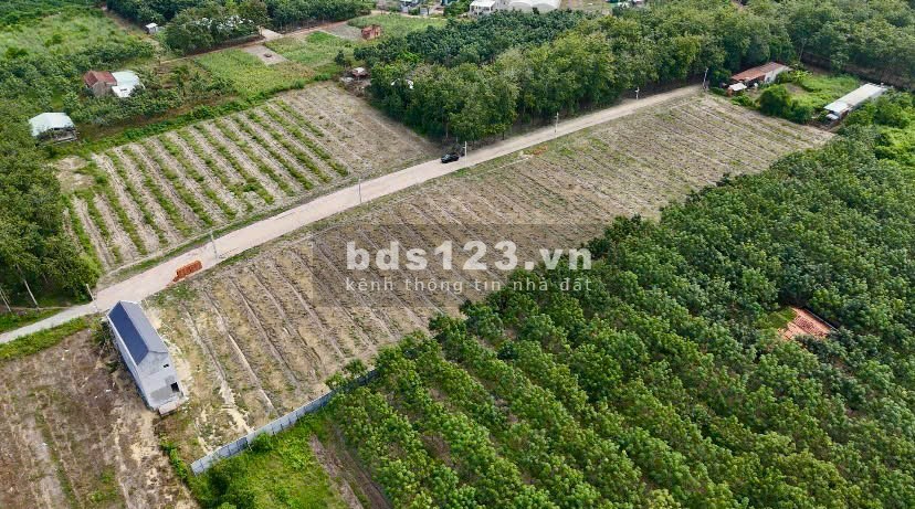 Bán đất xã An Bình, huyện Phú Giáo, tỉnh Bình