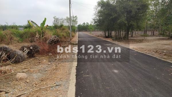 Bác gái đi định cư Mỹ cần sang nhượng 4 sào đất trái cây