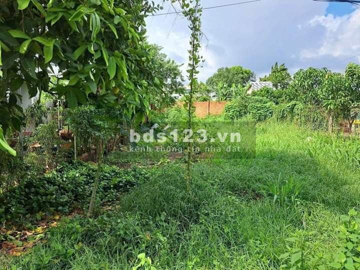 Cần tiền bán gấp lô đất mặt đường nhựa, full thổ cư, sổ hồng riêng giá 539 triệu