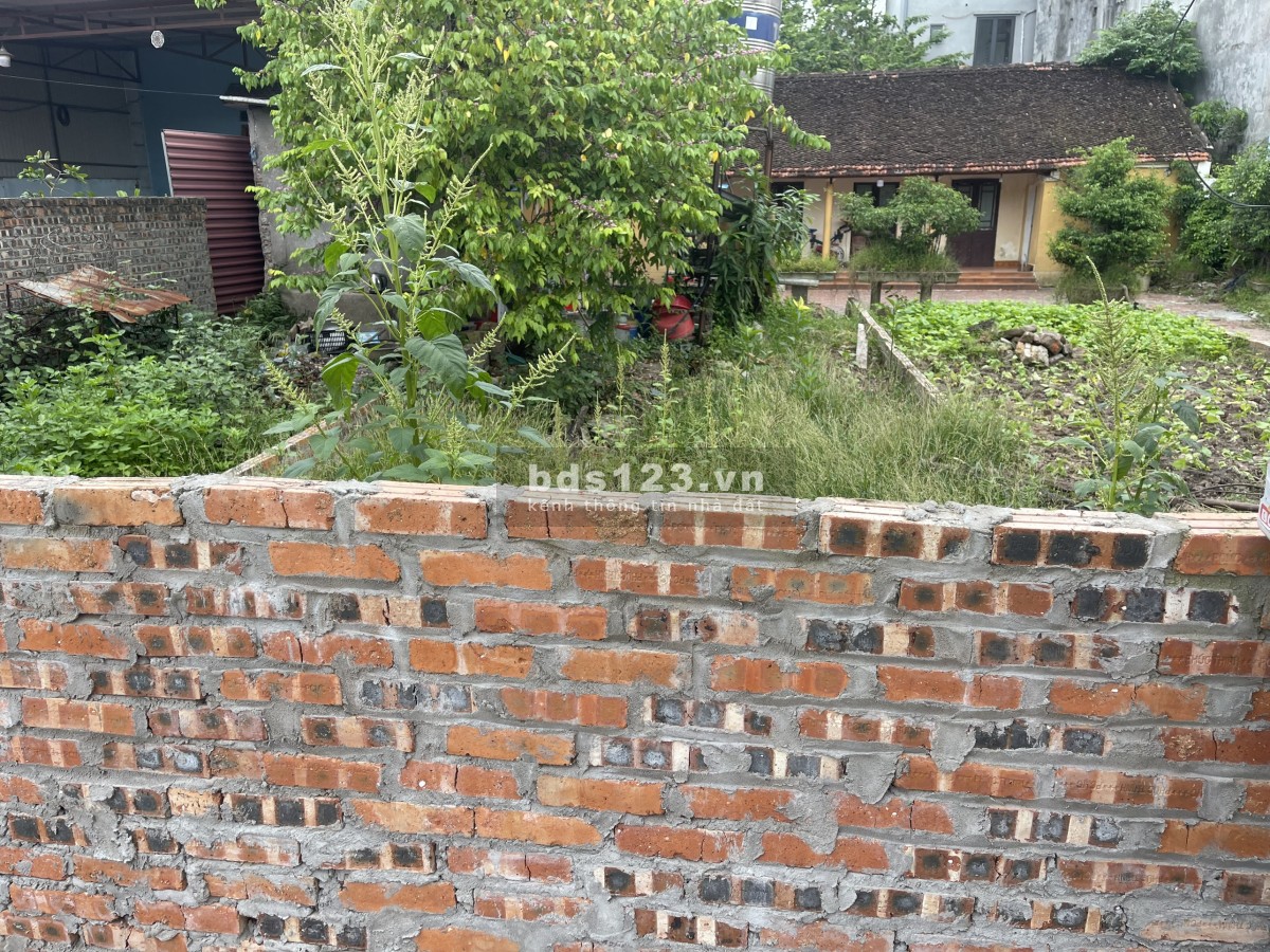 BÁN 60M2 ĐẤT TẠI BẮC HỒNG ĐÔNG ANH GIÁ 3 TỶ