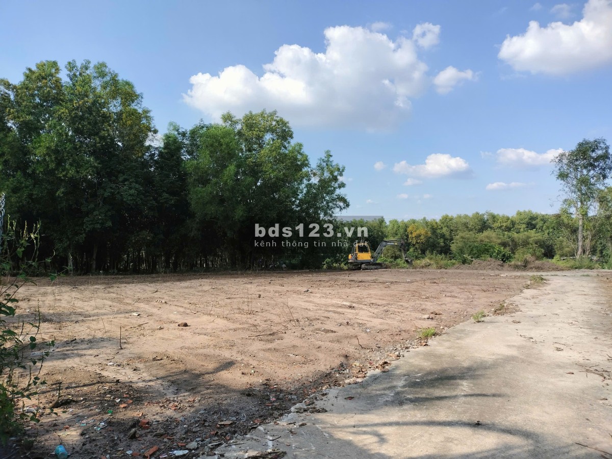 Đất sào, giá rẻ, đủ điều kiện tách nền