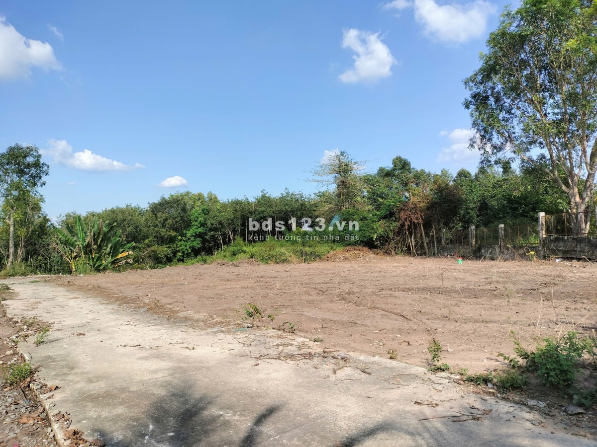 Đất sào, giá rẻ, đủ điều kiện tách nền