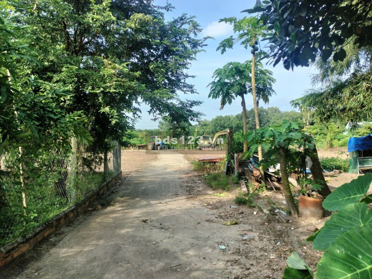 Đất sào, giá rẻ, đủ điều kiện tách nền