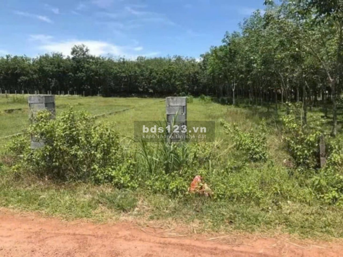 Đất chính chủ Phú Hòa Đông, Diện tích 180m2, giá thương lượng (tầm 1 tỷ)